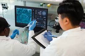 Biomedical Engineering